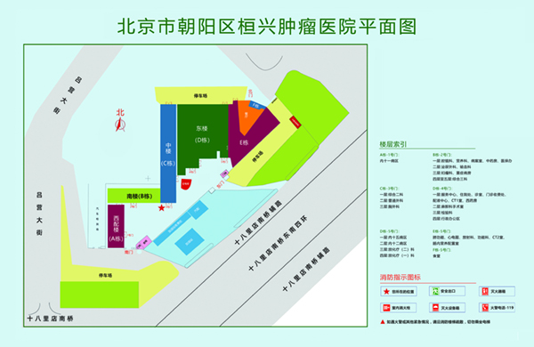 操逼视频25北京市朝阳区桓兴肿瘤医院平面图